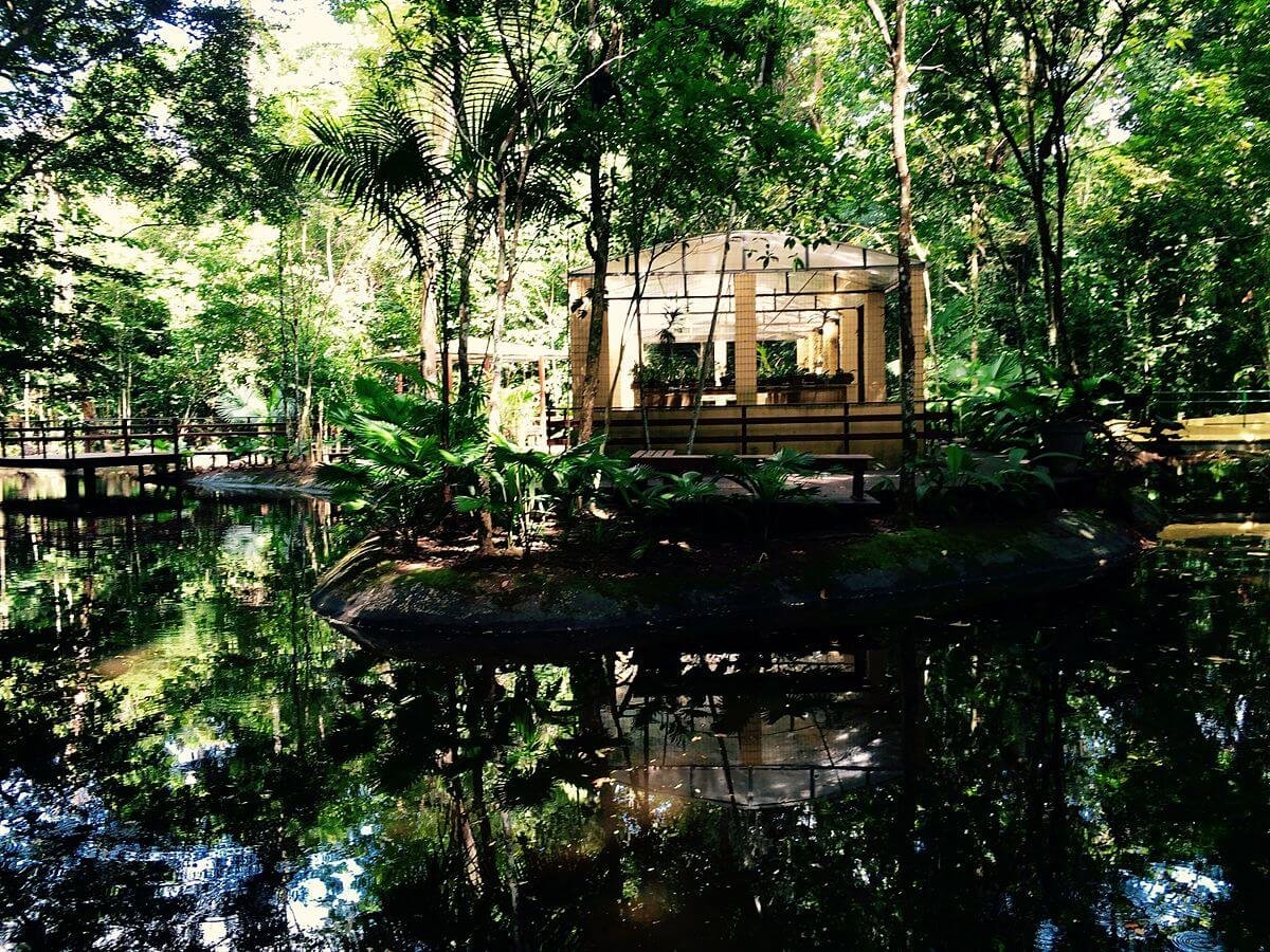 Passeios Imperd Veis Em Recife Para Curtir A Natureza Turismo De Natureza