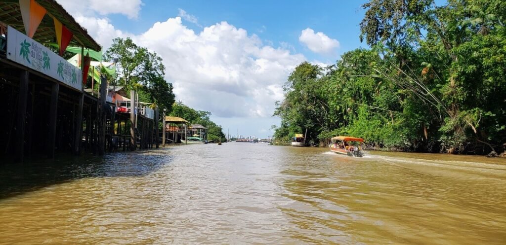 O Que Fazer Na Ilha Do Combu E Como Chegar Turismo De Natureza