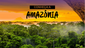 Curiosidades sobre a Amazônia