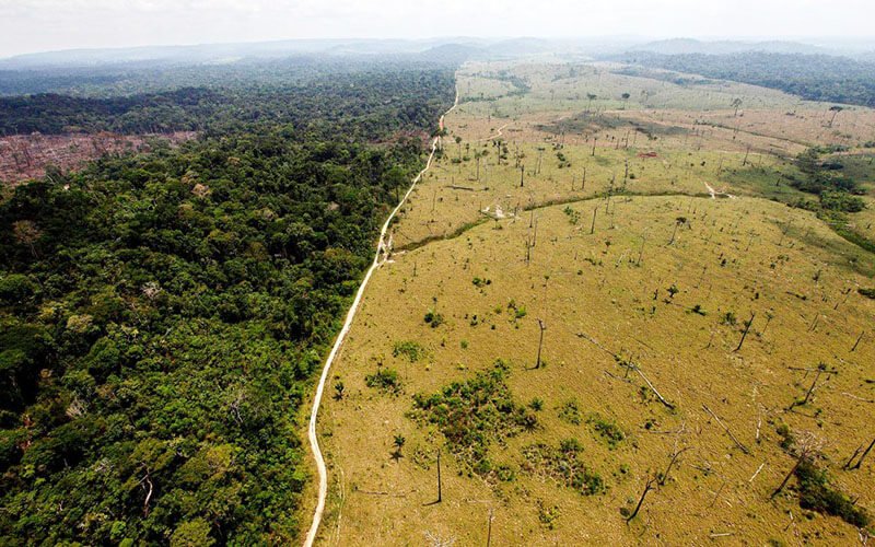 Desmatamento da Amazônia.