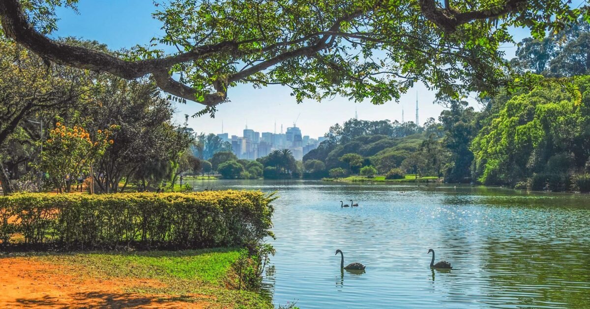 30 passeios imperdíveis para curtir em São Paulo no mês de outubro