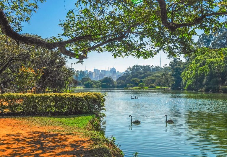 Passeios Imperdíveis em São Paulo