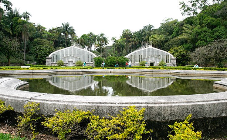 Jardim Botânico de São Paulo