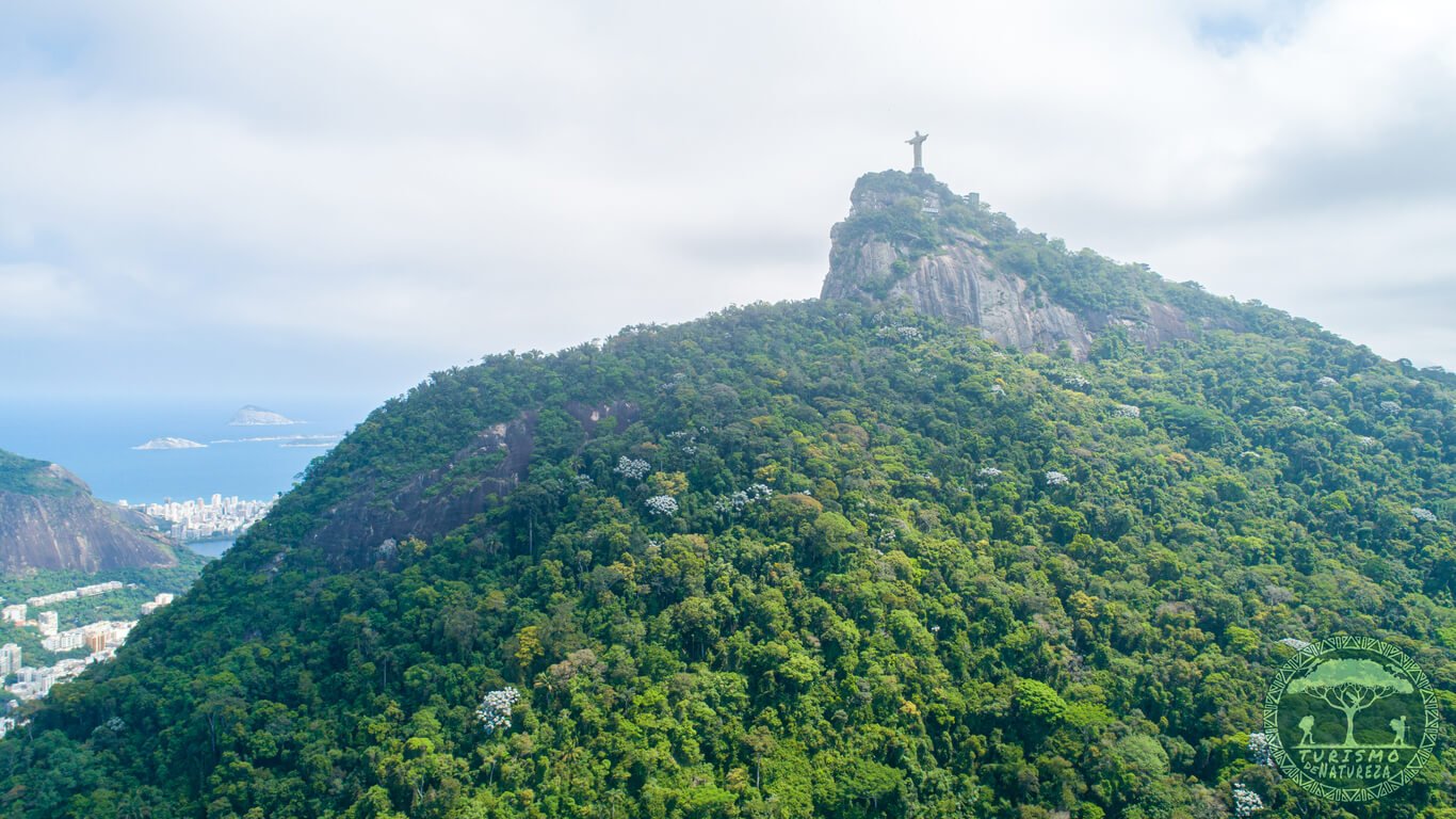 Passeios Imperdíveis no Rio de Janeiro. Cristo Redentor