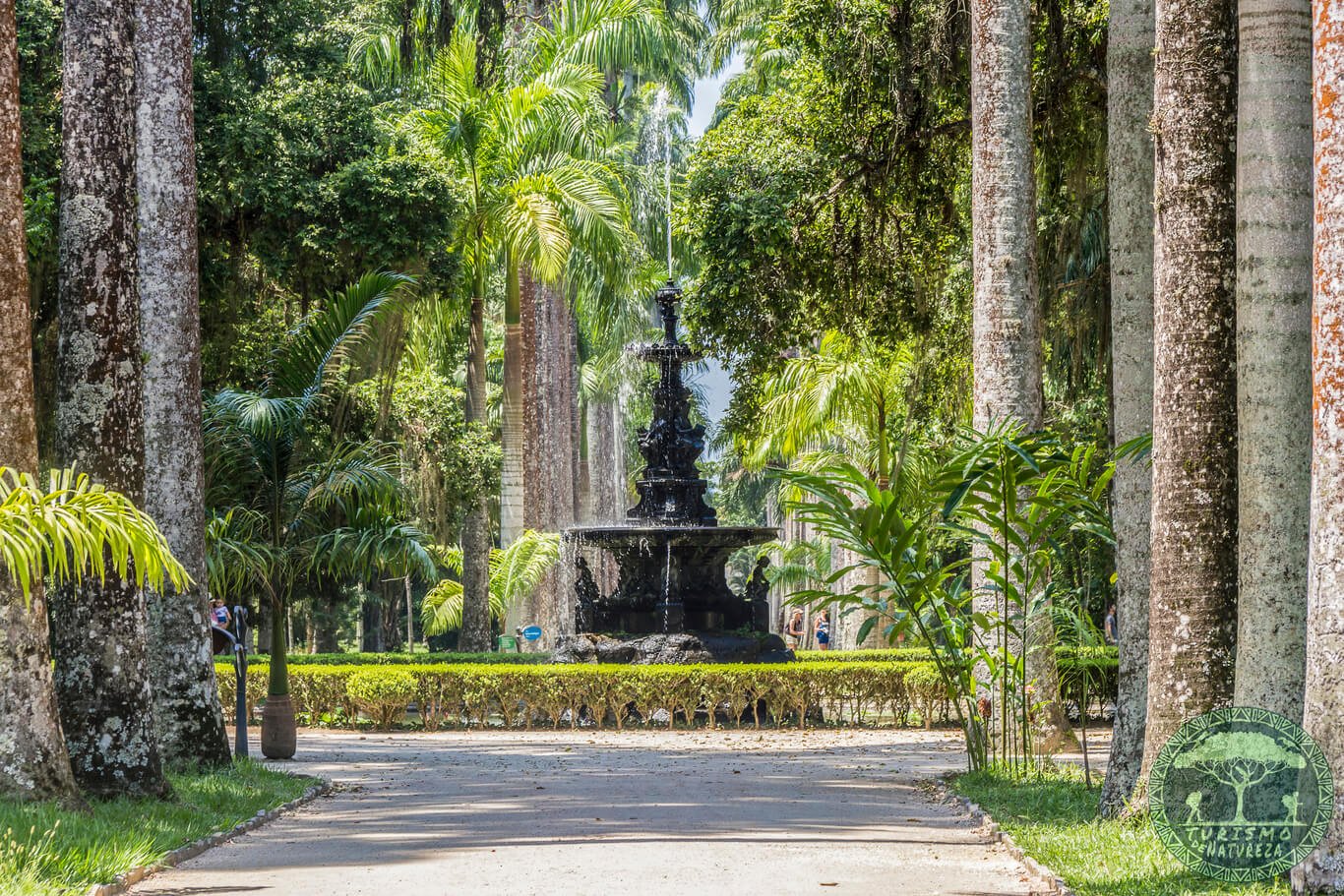 Jardim Botânico do Rio de Janeiro.