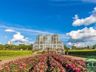 Passeios Imperdíveis em Curitiba