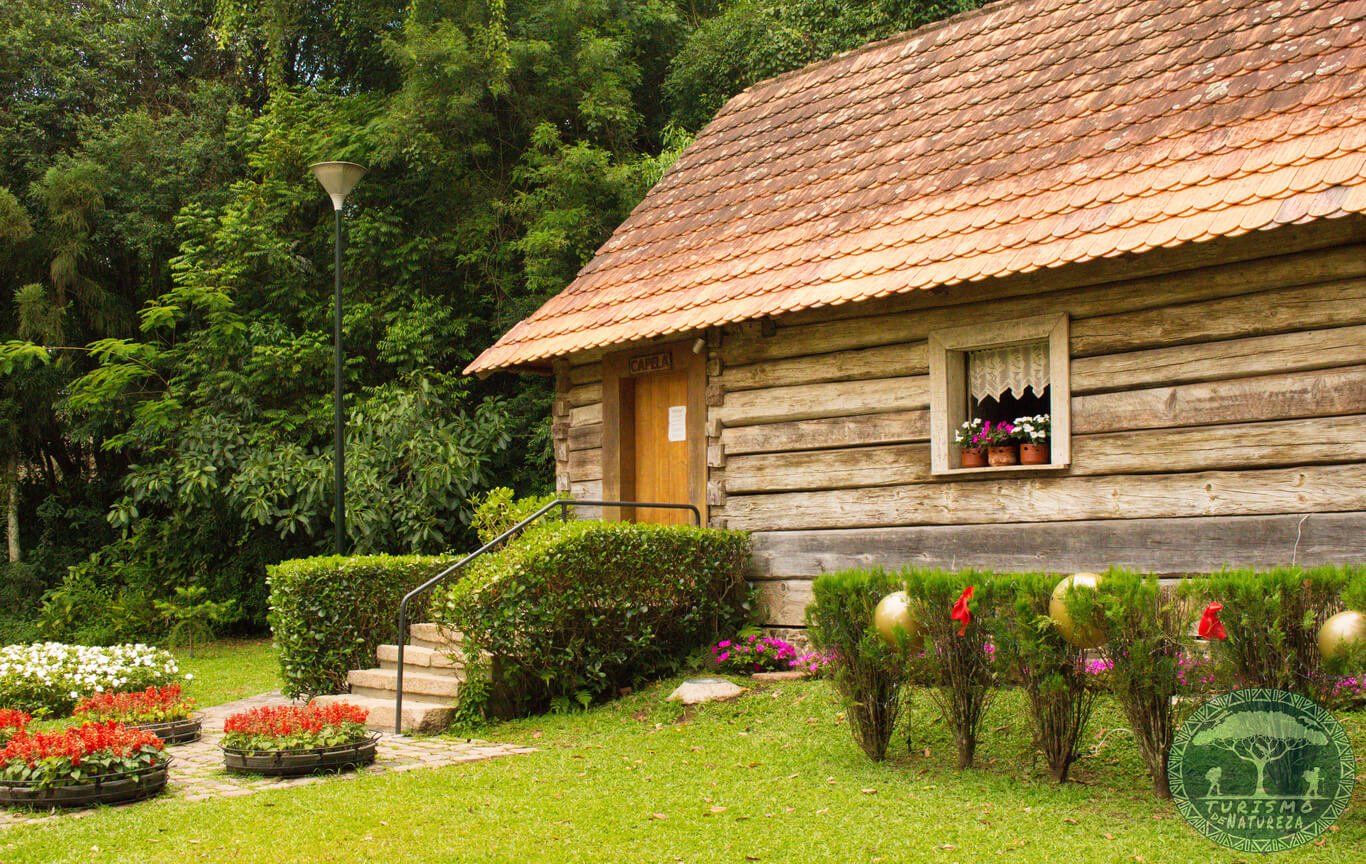 Passeios Imperdíveis em Curitiba: Bosque do Papa