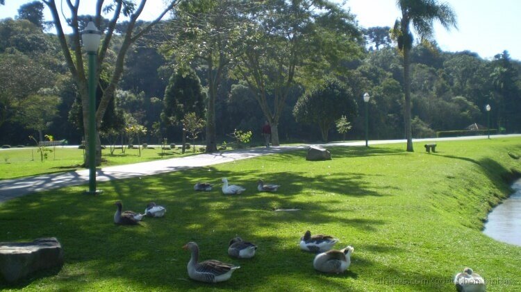 Parque Bacacheri, Curitiba.