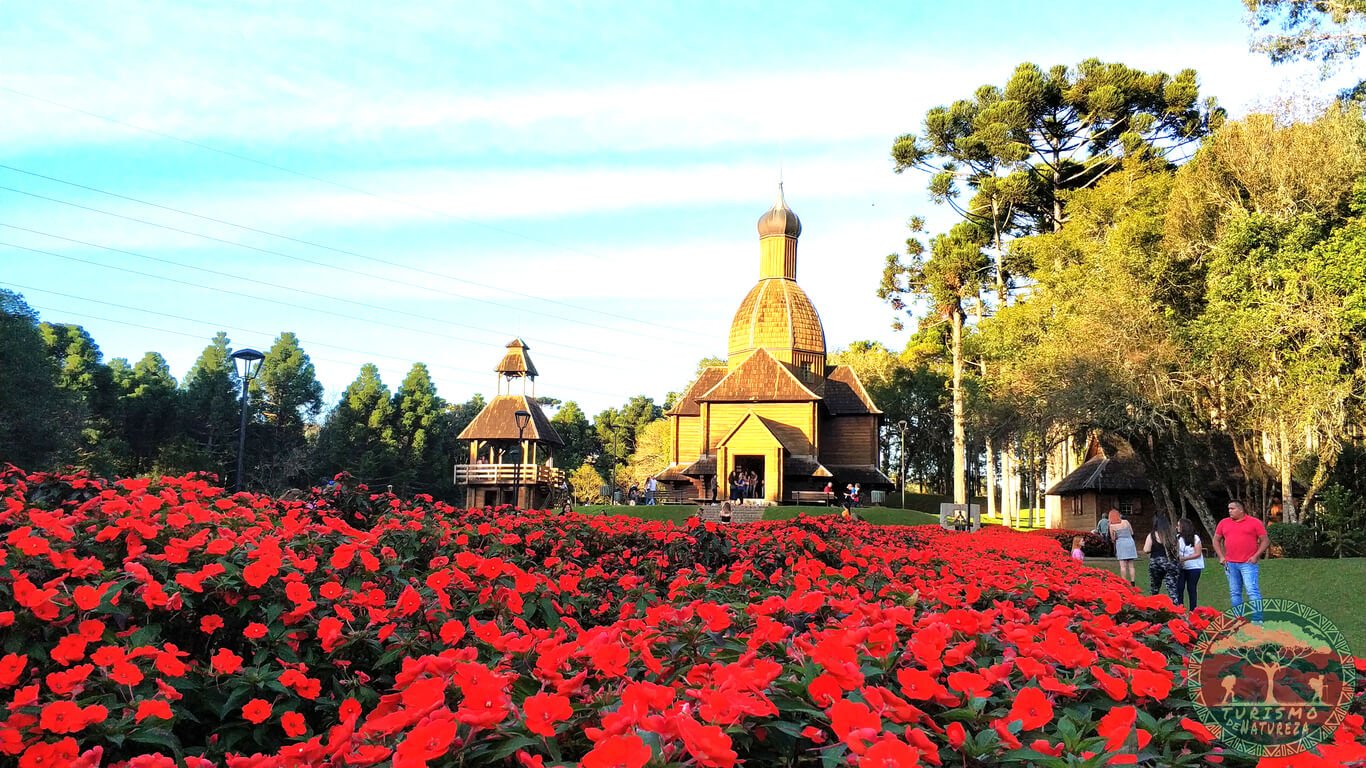 Passeios Imperdíveis em Curitiba: Parque Tinguí