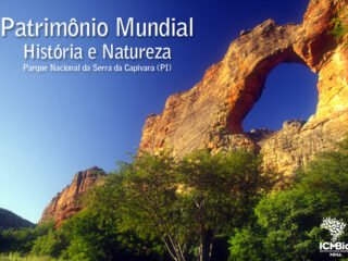 O que fazer na Serra da Capivara
