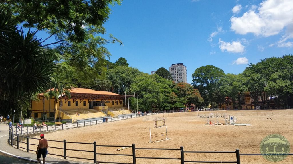 Parque da Água Branca O que fazer? » Turismo de Natureza