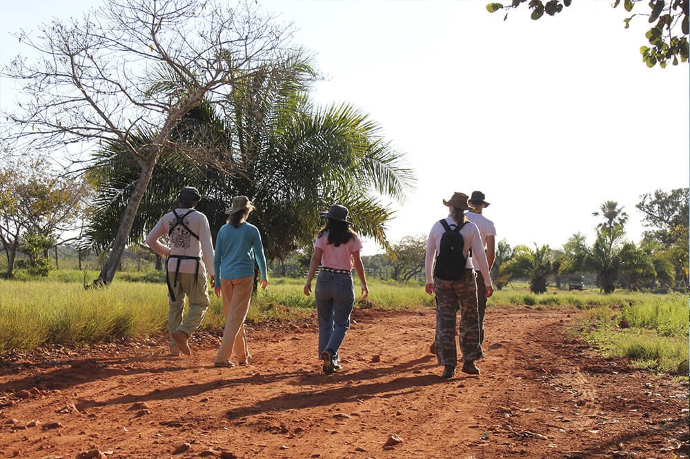 Caminhada monitorada no Pantanal de Mato Grosso