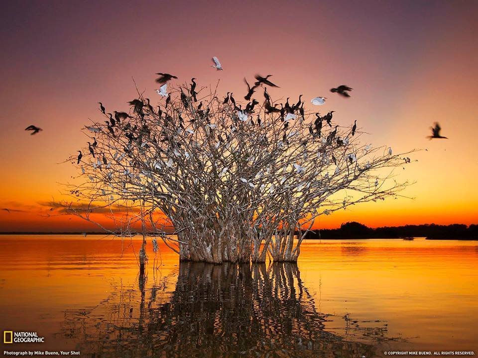 Pôr do Sol no Pantanal no Estado do Mato Grosso.
