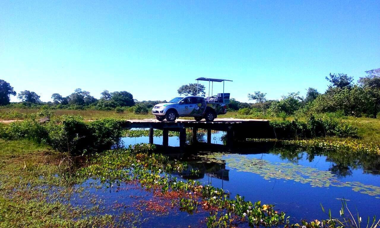 Safári fotográfico no Pantanal de Mato Grosso.