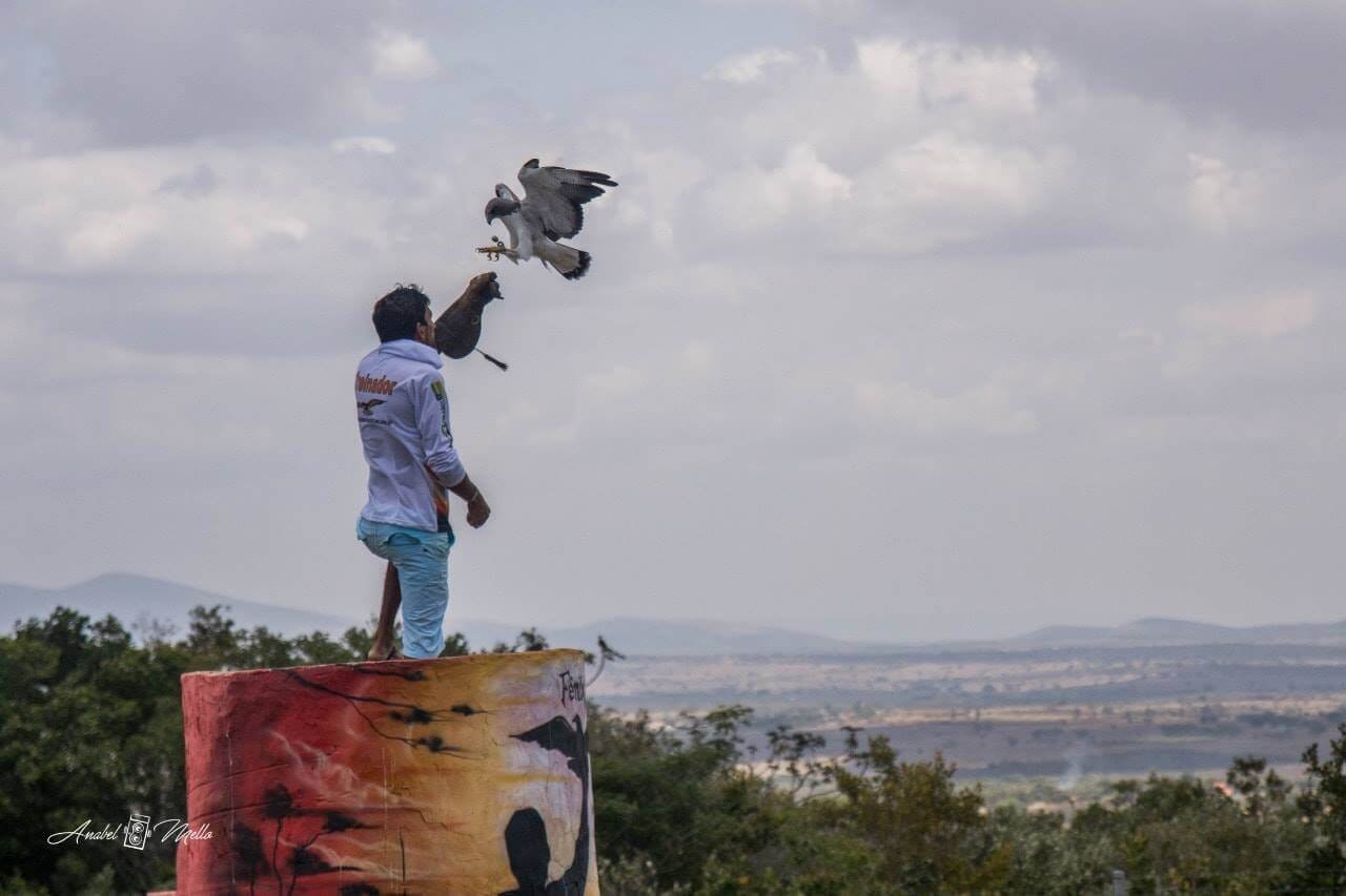 O que fazer no Parque dos Falcões