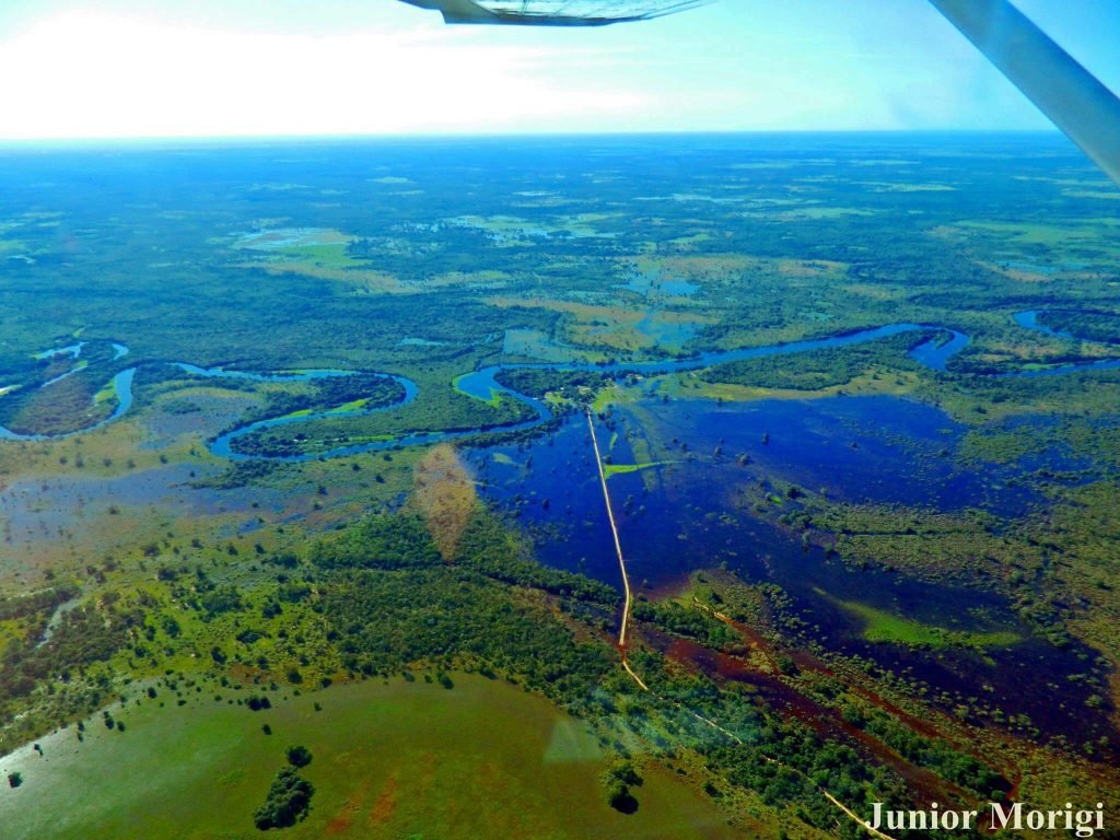 Pantaneirissimo: Maior ninhal do Pantanal tem quase um quilômetro de  extensão