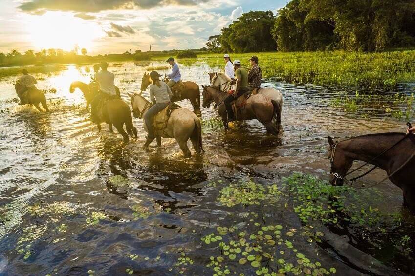 Cavalgada no Pantanal no Mato Grosso do Sul
