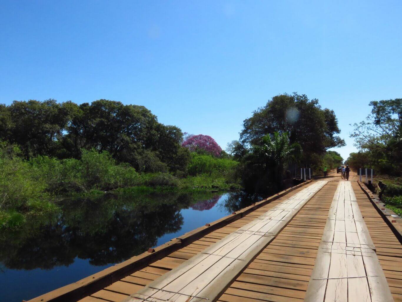 Estrada Parque Pantanal