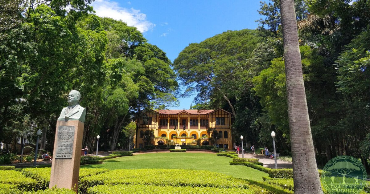 Parque da Água Branca. Confira o que fazer nesse passeio em imperdível em Sampa.