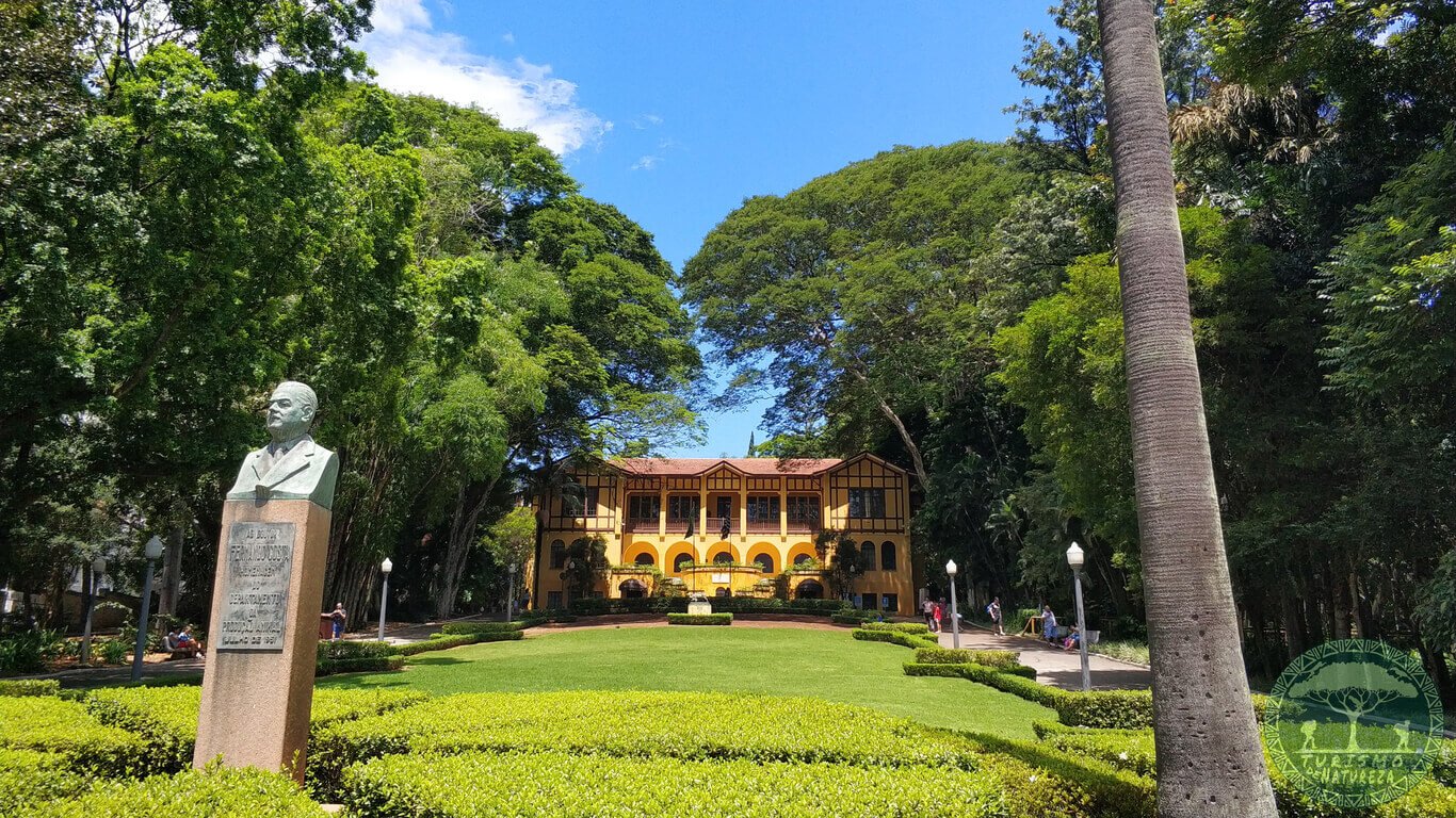 Capivaras passeando pelo Parque do Carmo, zona leste de São Paulo