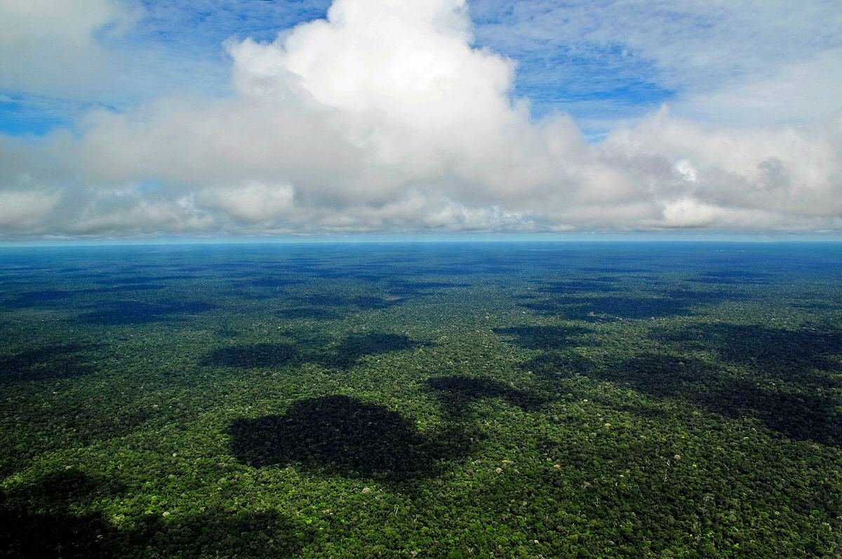 Soobrevôo pela Amazônia.