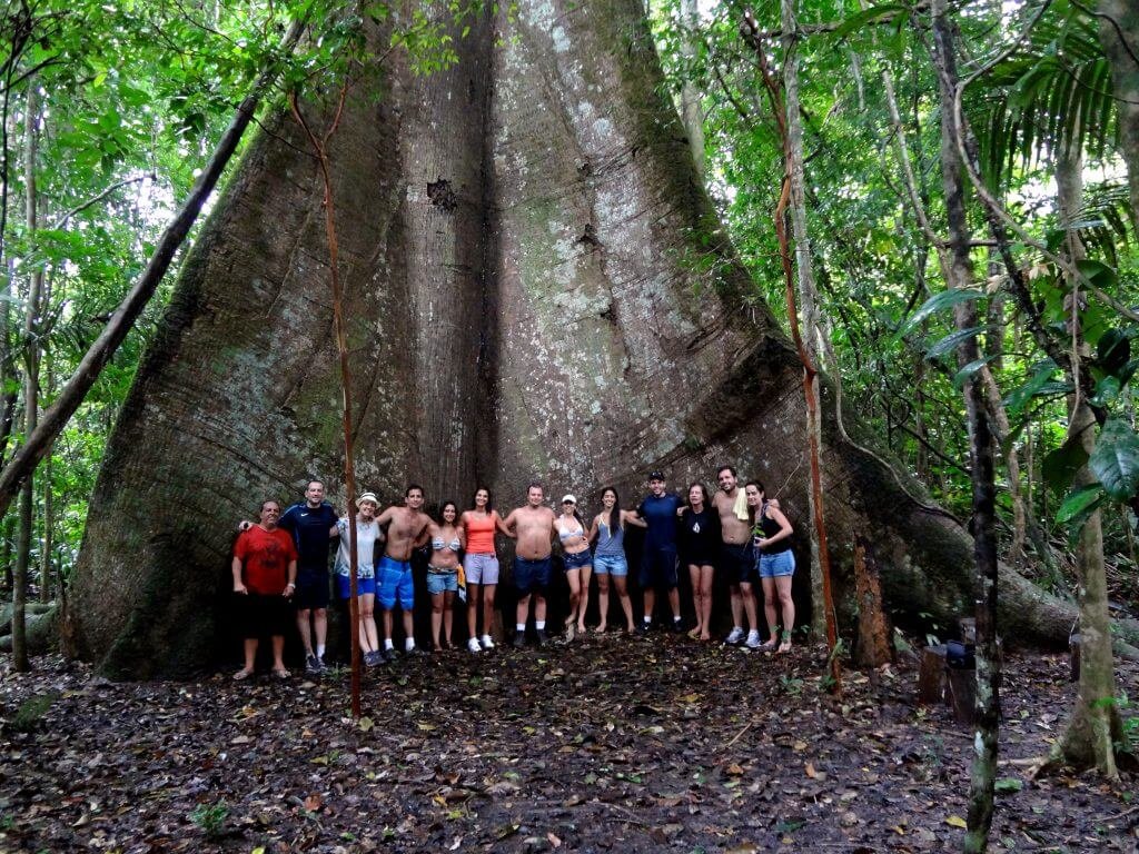 Floresta Nacional-do-Tapajós