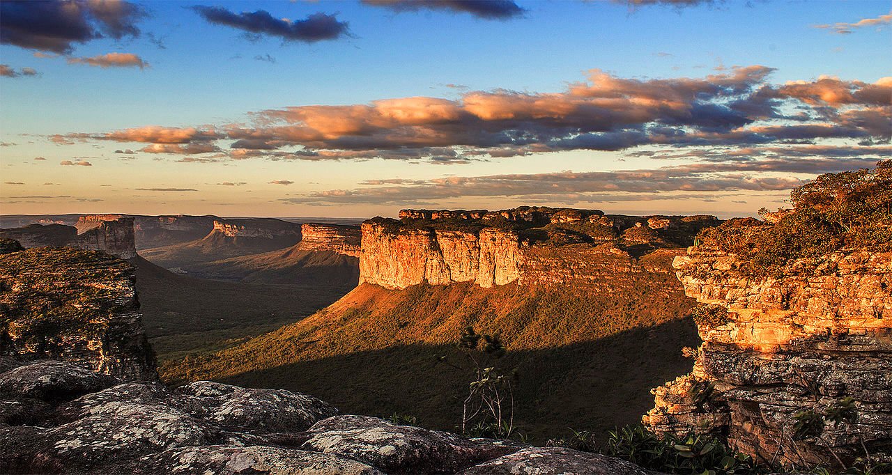 Help in the farm and nursery activities in Chapada Diamantina, Bahia