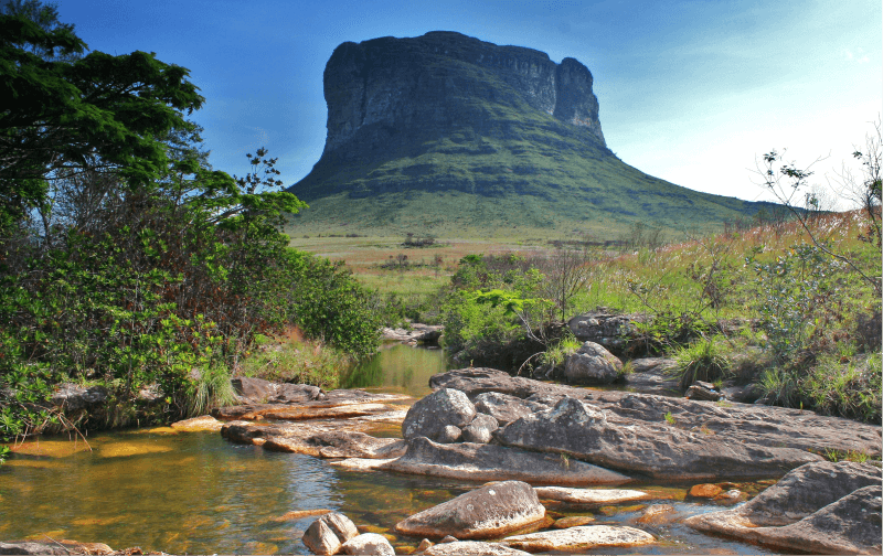 Help in the farm and nursery activities in Chapada Diamantina, Bahia