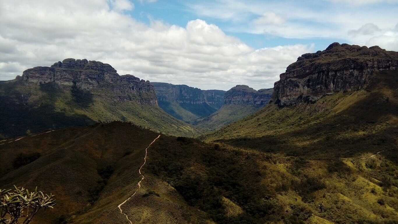 Help in the farm and nursery activities in Chapada Diamantina, Bahia