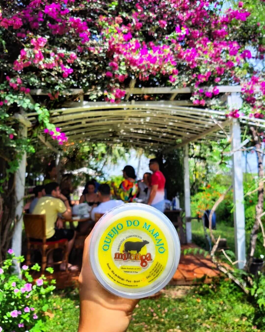 Fazenda Mironga no Marajó