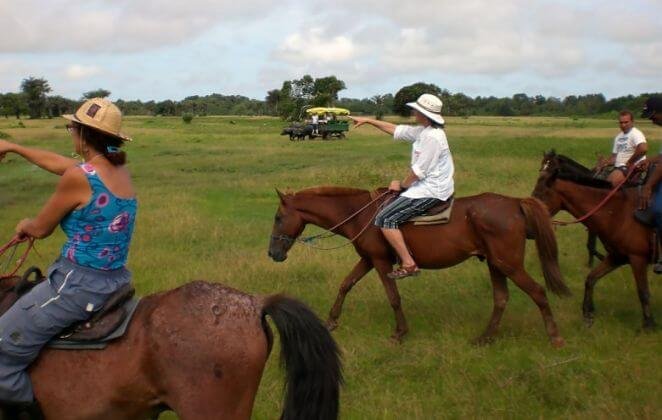 Fazenda Sanjo na Ilha de Marajó em Soure.