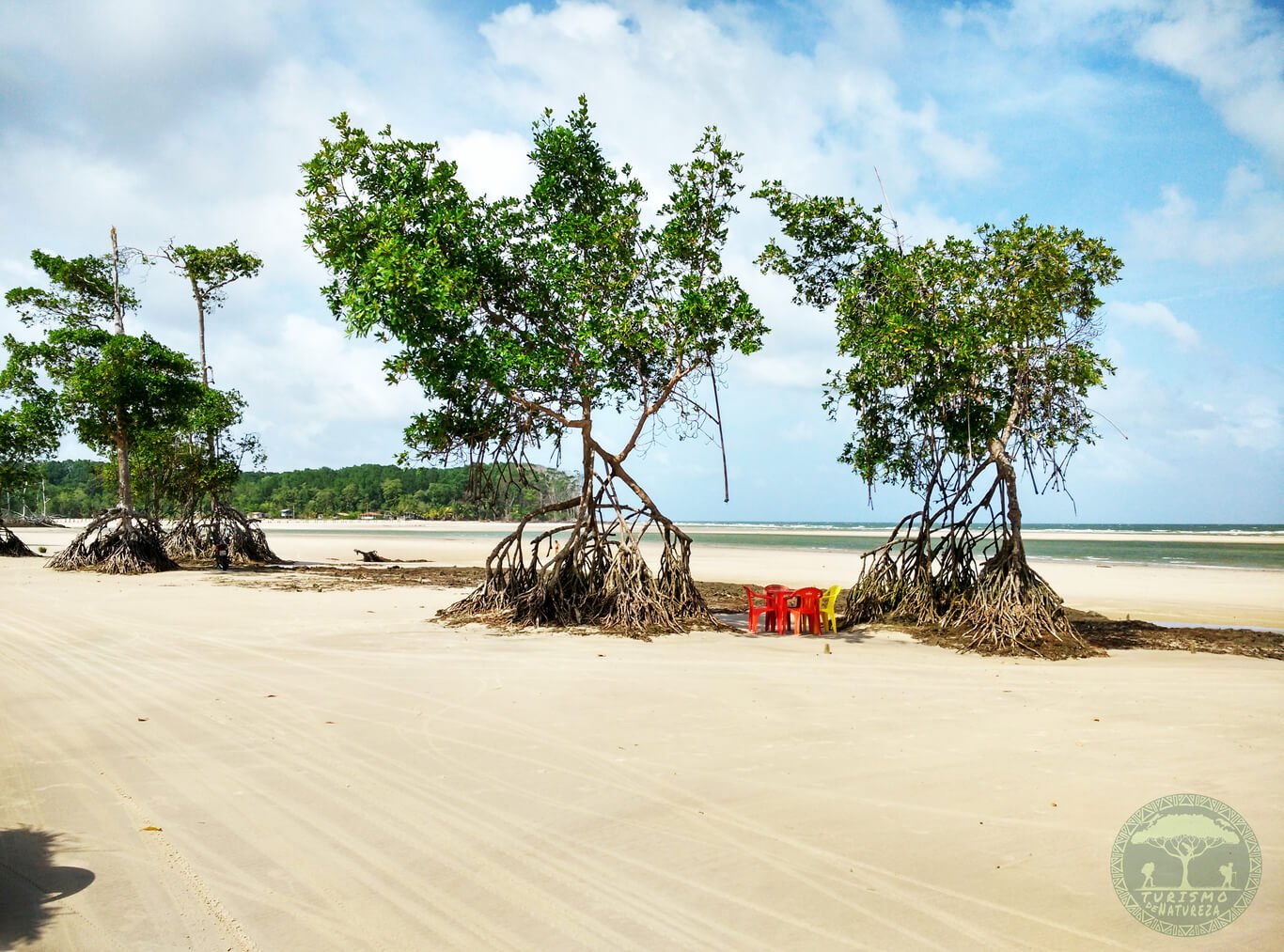 Praia da Velha em Soure no Marajó