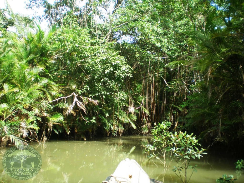 O que fazer na Ilha de Marajó em Soure. Passeio de barco pelo Furo do Miguelão.
