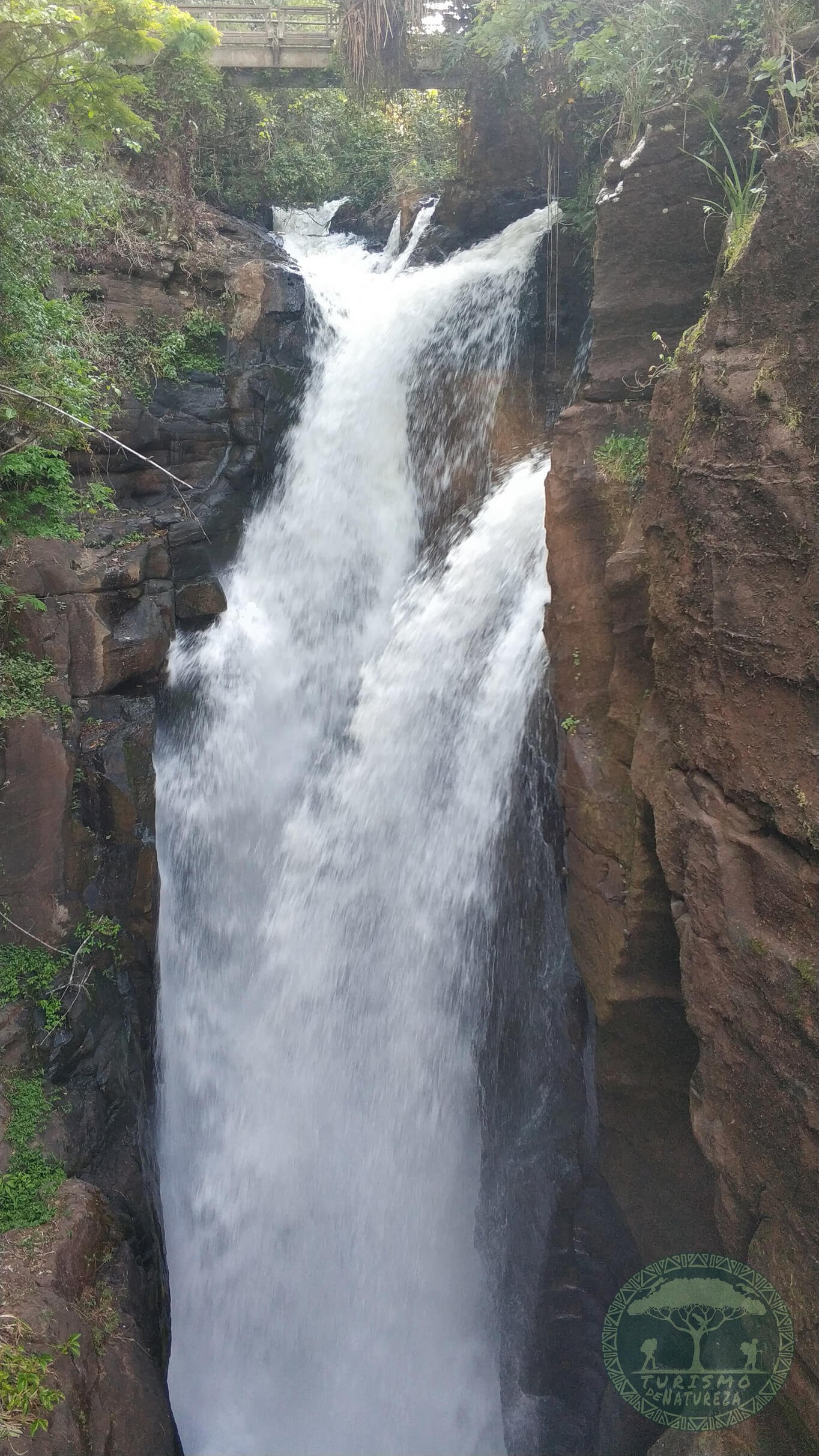 Cascata Arrechea nas cataratas do Iguazú argentino