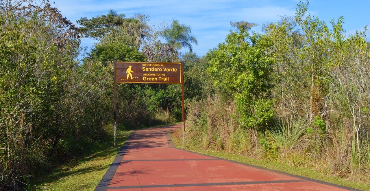 Trilha verde no Parque Nacional Iguazú