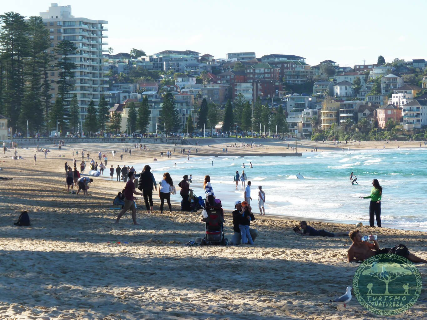 Manly Beach, uma praia urbana em harmonia com a natureza.