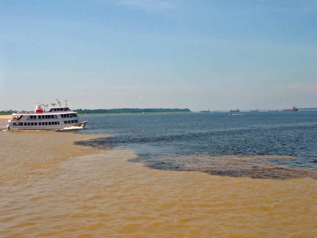 Ecoturismo em Manaus