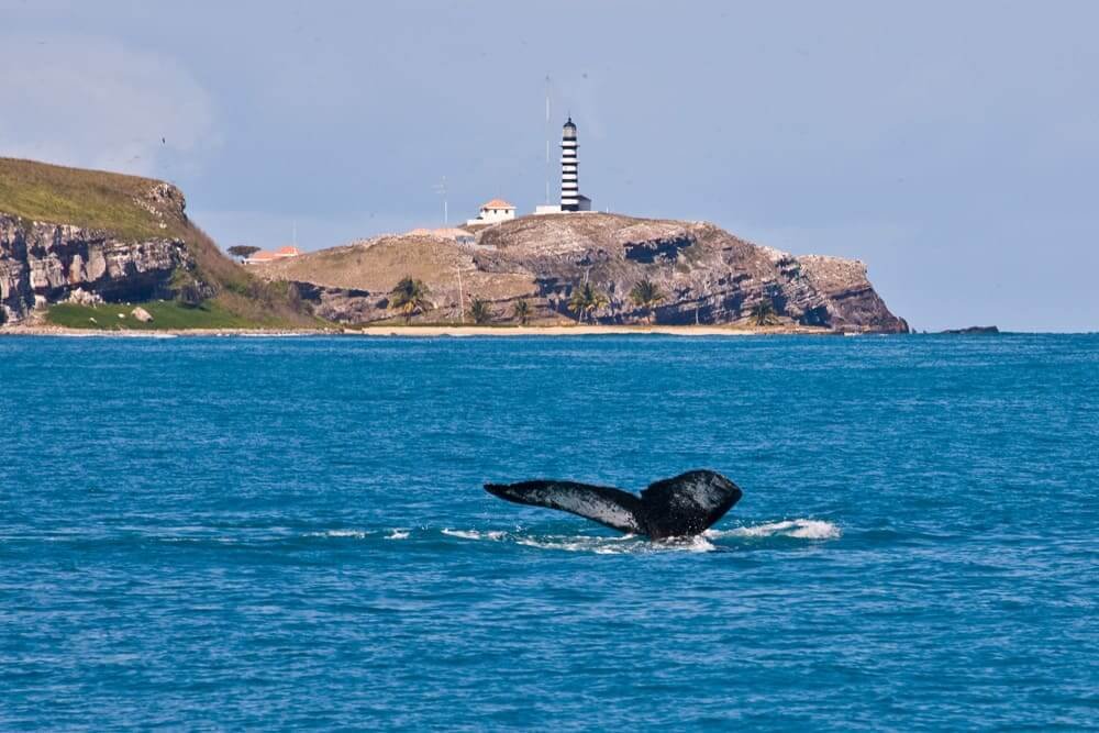 Ecoturismo Abrolhos