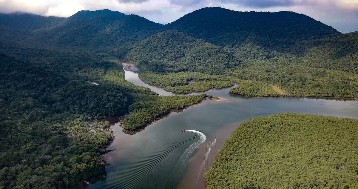 Descubra 27 curiosidades sobre a Mata Atlântica » Turismo de Natureza