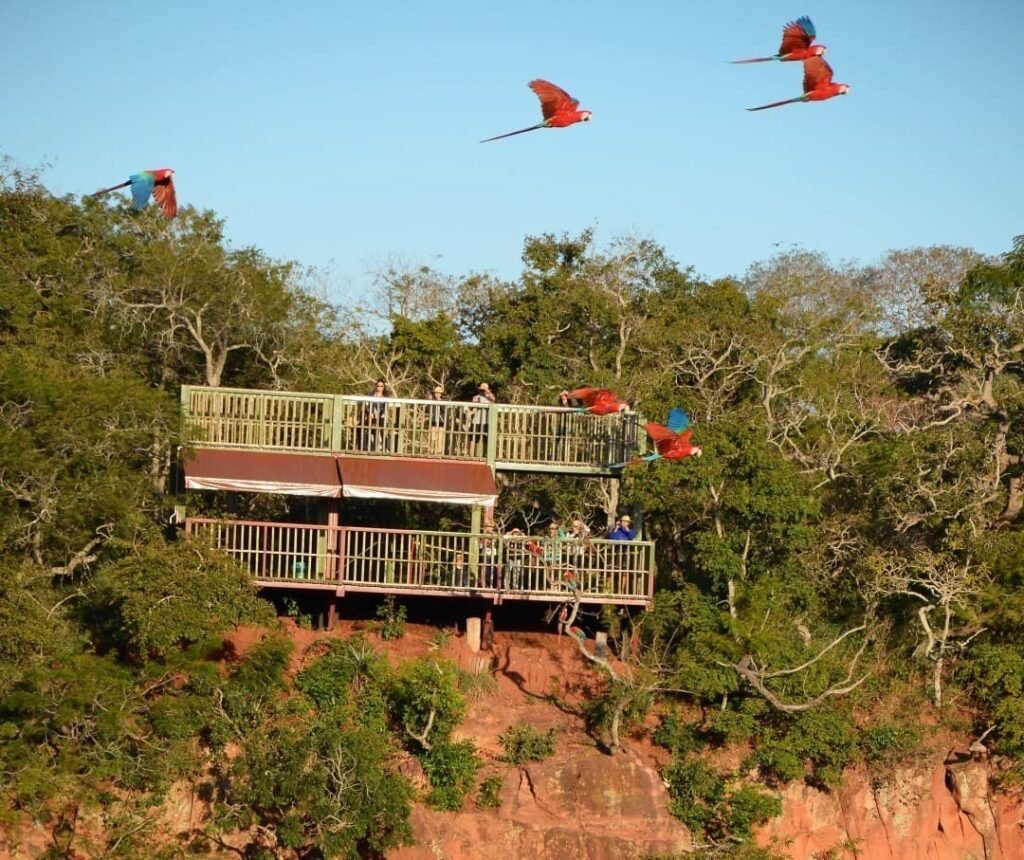 Turismo de Natureza Mato Grosso do Sul