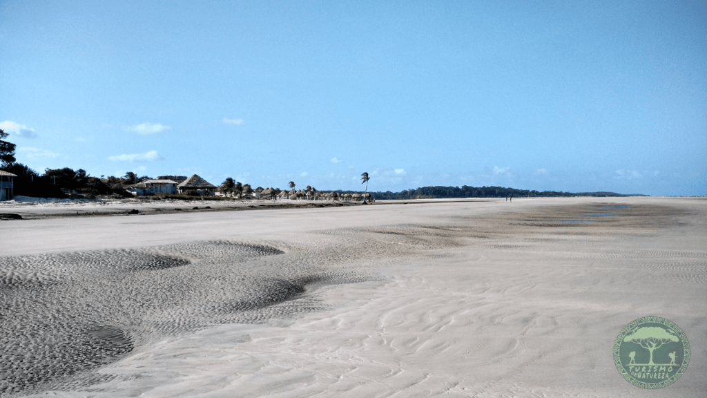 Praia do Pesqueiro em Soure.