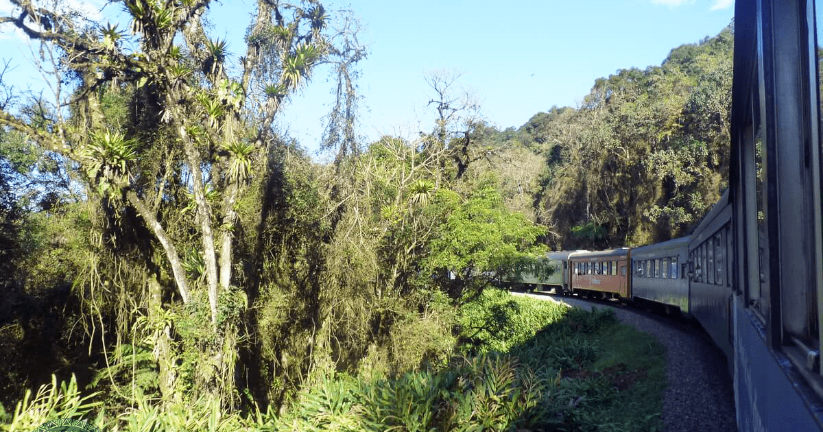 Passeio de trem de Curitiba a Morretes