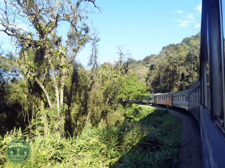 Passeio de trem de Curitiba a Morretes