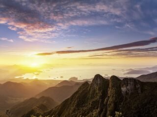 Curiosidades sobre a Mata Atlântica