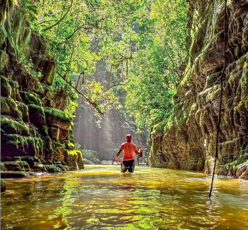 As melhores trilhas em Lami, Rio Grande do Sul (Brasil)
