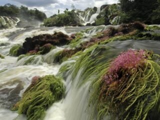 O maior parque nacional do Brasil