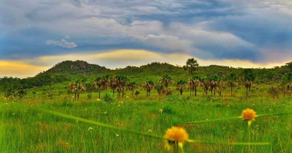Serra do Pireneus