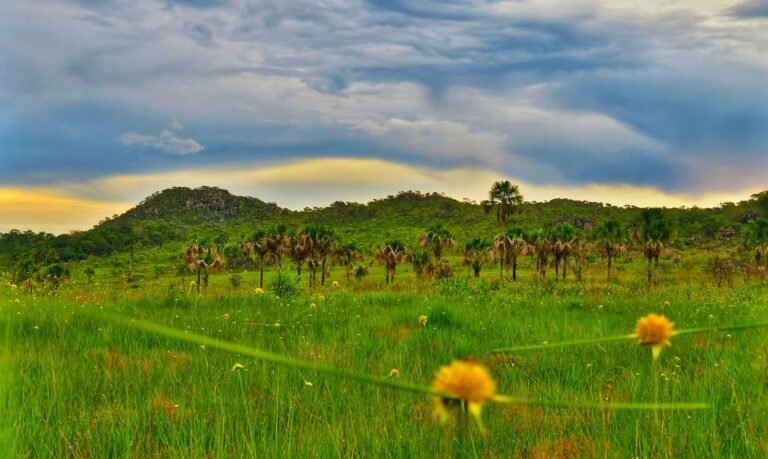 Serra do Pireneus