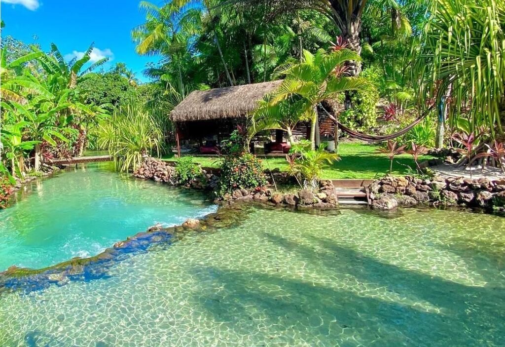 Tao Paradise