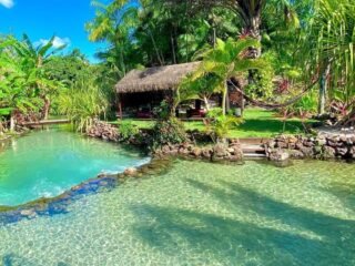 Tao Paradise